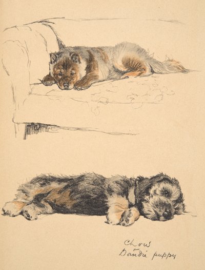 Chow und Dandie Welpe, 1930, Illustrationen aus seinem Skizzenbuch für 